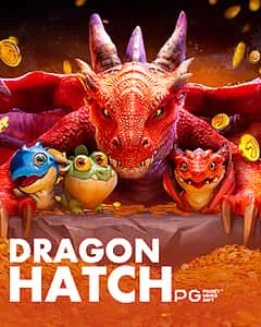 Recursos de bônus do Fortune Dragon na brr bet